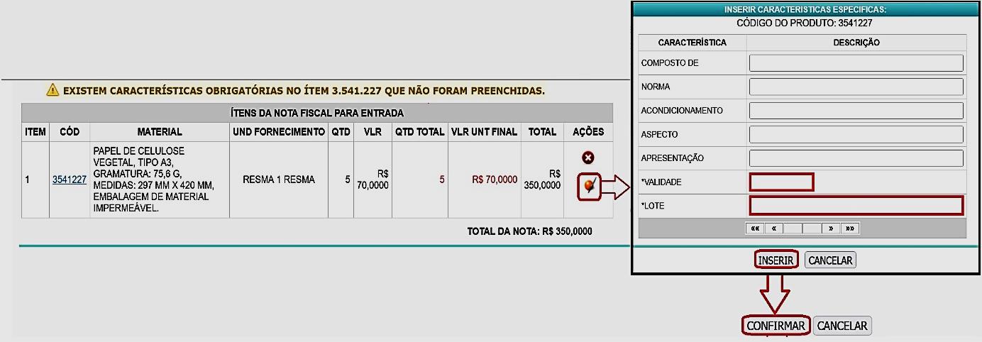 Fig. 20 – Inserção de características obrigatórias