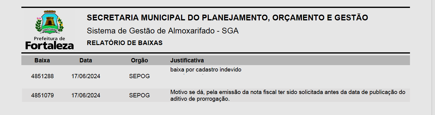Fig. 53.1 - Modelo do relatório de baixa