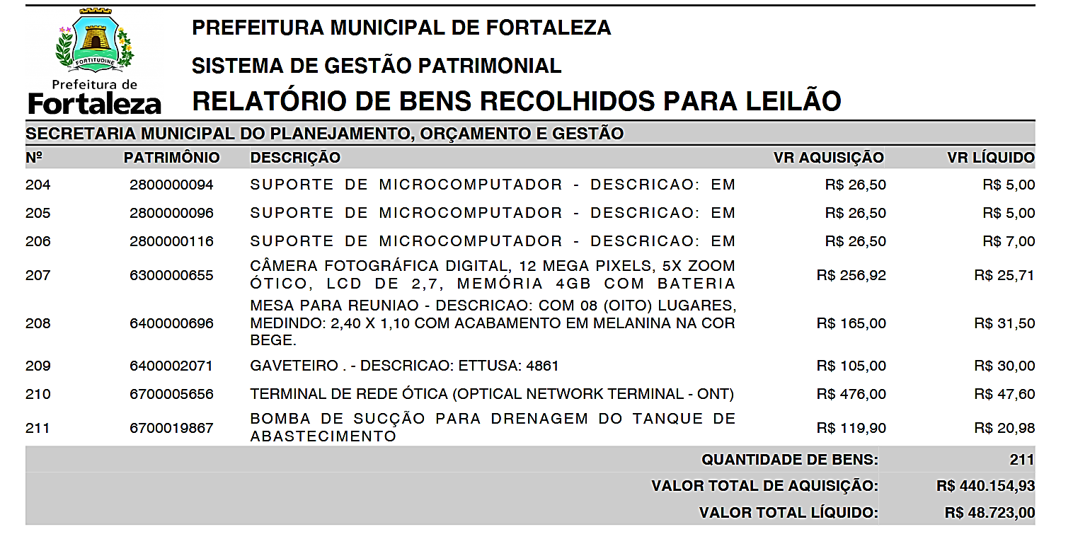 Fig. 31.1 – Modelo do relatório