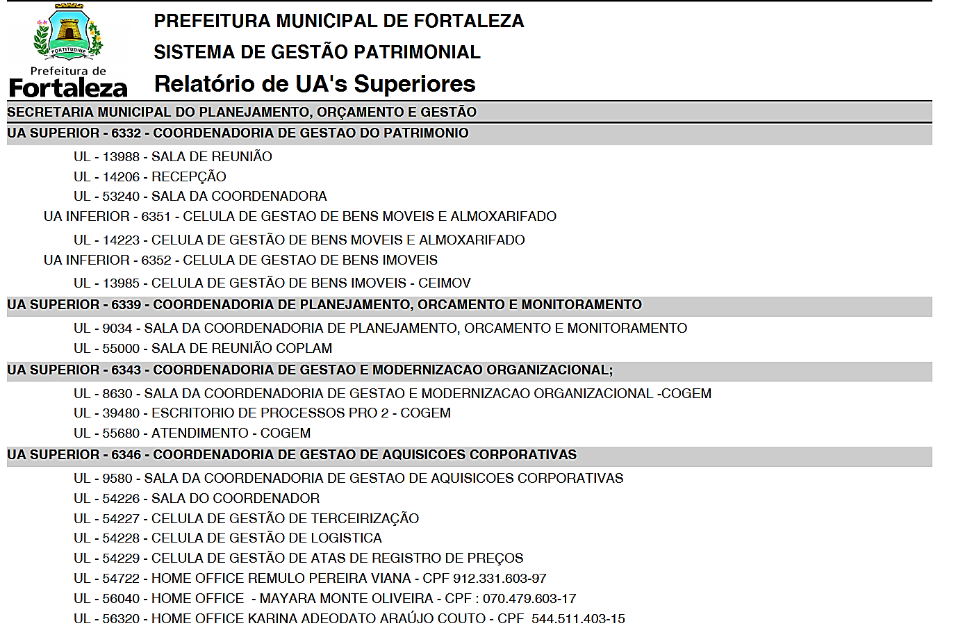 Fig. 43.1 – Modelo do relatório