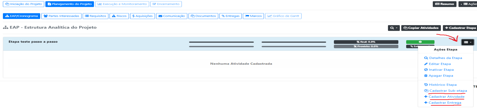 Como cadastrar Etapas e Subetapas?