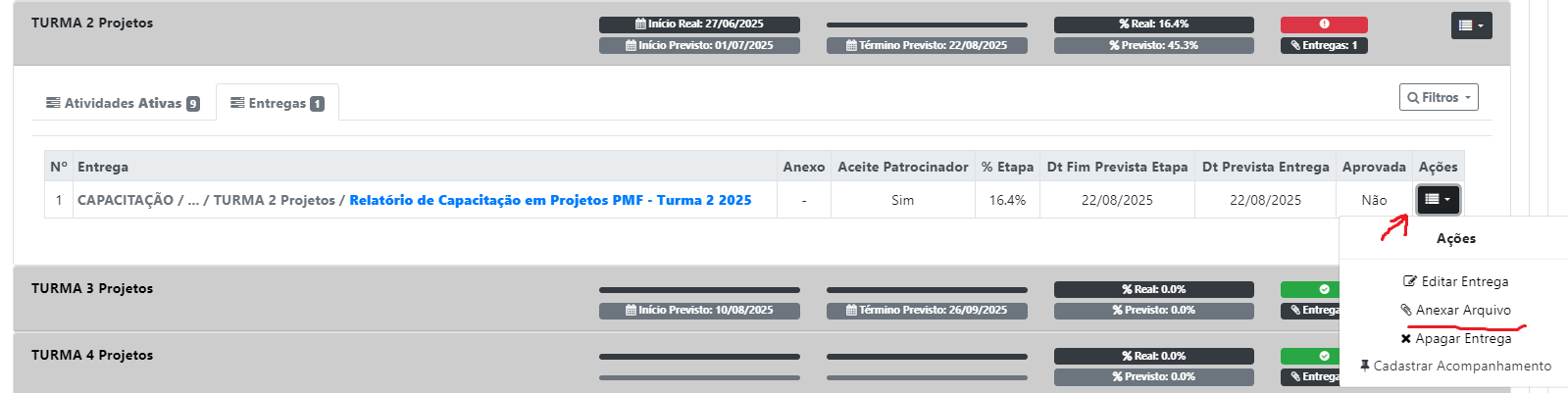 Como anexar entregas do projeto?